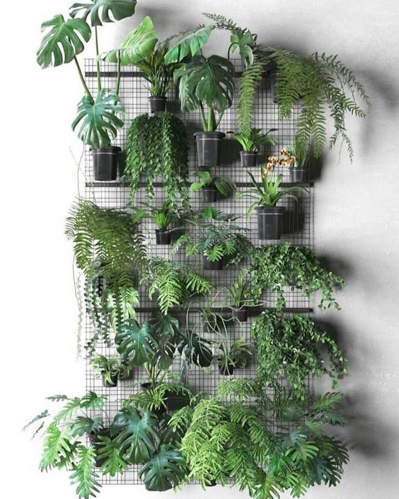 Décu murale plantes vertes